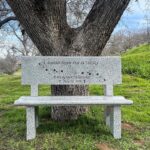 Memorial Benches - under a tree